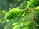 DSC09409