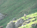 DSC09425