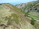 DSC09472