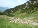 DSC09477