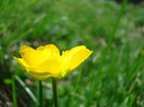 DSC09479