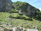 DSC09483