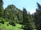 DSC09484