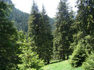 DSC09485