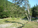 DSC09515