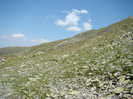 DSC09547