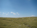 DSC09557