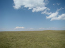DSC09559
