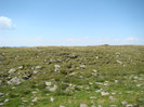 DSC09564