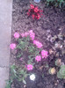 P090710_13.34_[04]