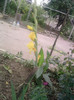 P090710_13.34_[09]