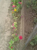 P090710_13.36_[01]