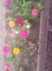 P090710_13.36_[02]
