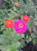 P090710_13.36_[05]