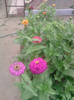 P090710_13.36_[06]