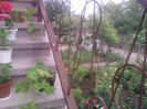 P090710_13.40_[01]