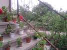 P090710_13.40_[02]