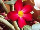 DSC00649