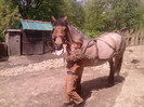 P200512_12.44