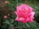SANY0253
