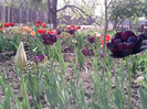 P210412_13.37_[03]