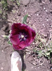 P210412_13.37_[06]