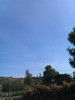 IMAG0551
