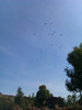 IMAG0553