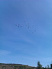 IMAG0554
