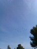 IMAG0555