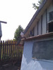 IMAG0558