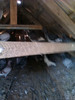 IMAG0561