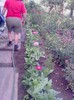 P270610_19.16_[01]