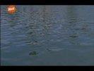 vlcsnap-00048