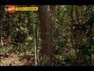 vlcsnap-00210