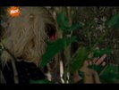 vlcsnap-00221