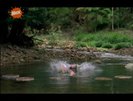 vlcsnap-00255