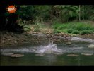 vlcsnap-00256