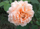 2012-09-20_17-48-19_380