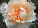 2012-09-20_17-46-30_896 (1)