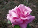2012-09-20_17-45-46_510 (1)