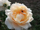 2012-09-20_17-46-10_477 (1)