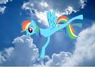 rainbow dash
