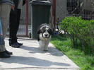 DSCN2229