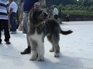 DSCN2287