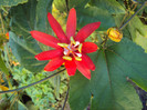 DSC00697