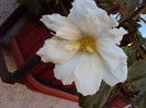 DSC00702