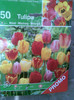 50 bulbi lalele BRICOSTORE