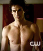 Tvd (189)