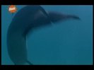 vlcsnap-00222